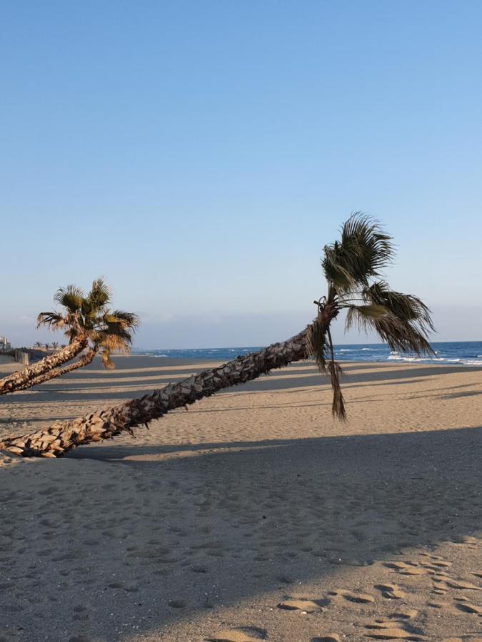 Sarl Reve Mediterraneen Le Barcarès Buitenkant foto